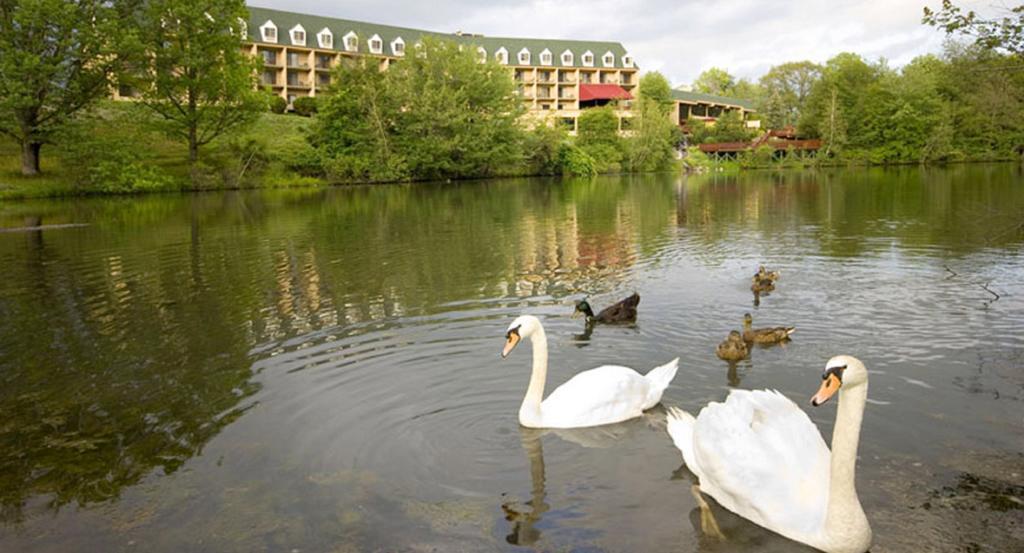 Chateau Resort & Conference Center Tannersville Exterior foto